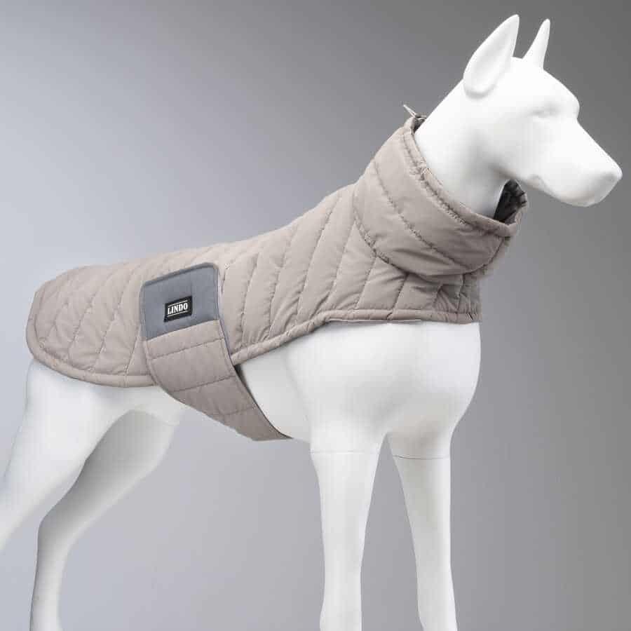 Lindo Air Puff Stone Köpek Montu Beden : 3 Lindo Air Puff Stone Köpek Montu Beden : 3