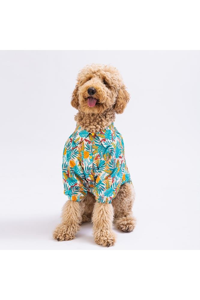 Pawstar Folia Big Shirt Kedi Köpek Kıyafeti Pawstar Folia Big Shirt Kedi Köpek Kıyafeti