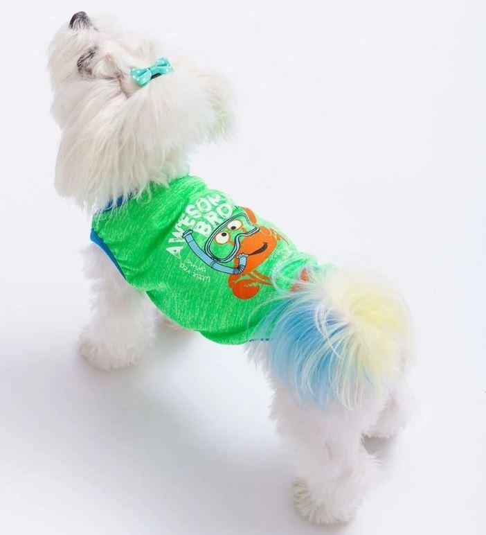 Pawstar Green Crab T-Shirt Kedi Köpek Kıyafeti