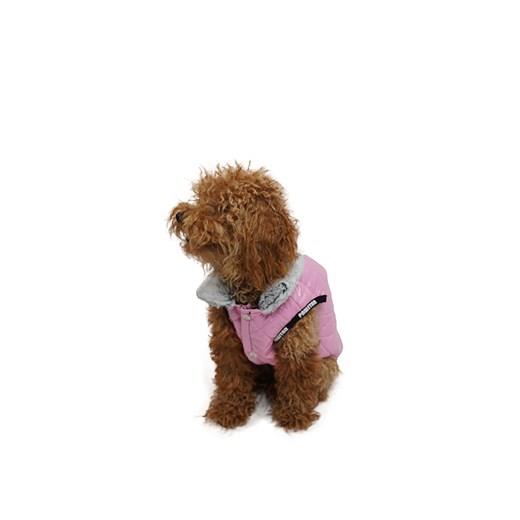 Pawstar Moncler Pembe Mont Pawstar Moncler Pembe Mont