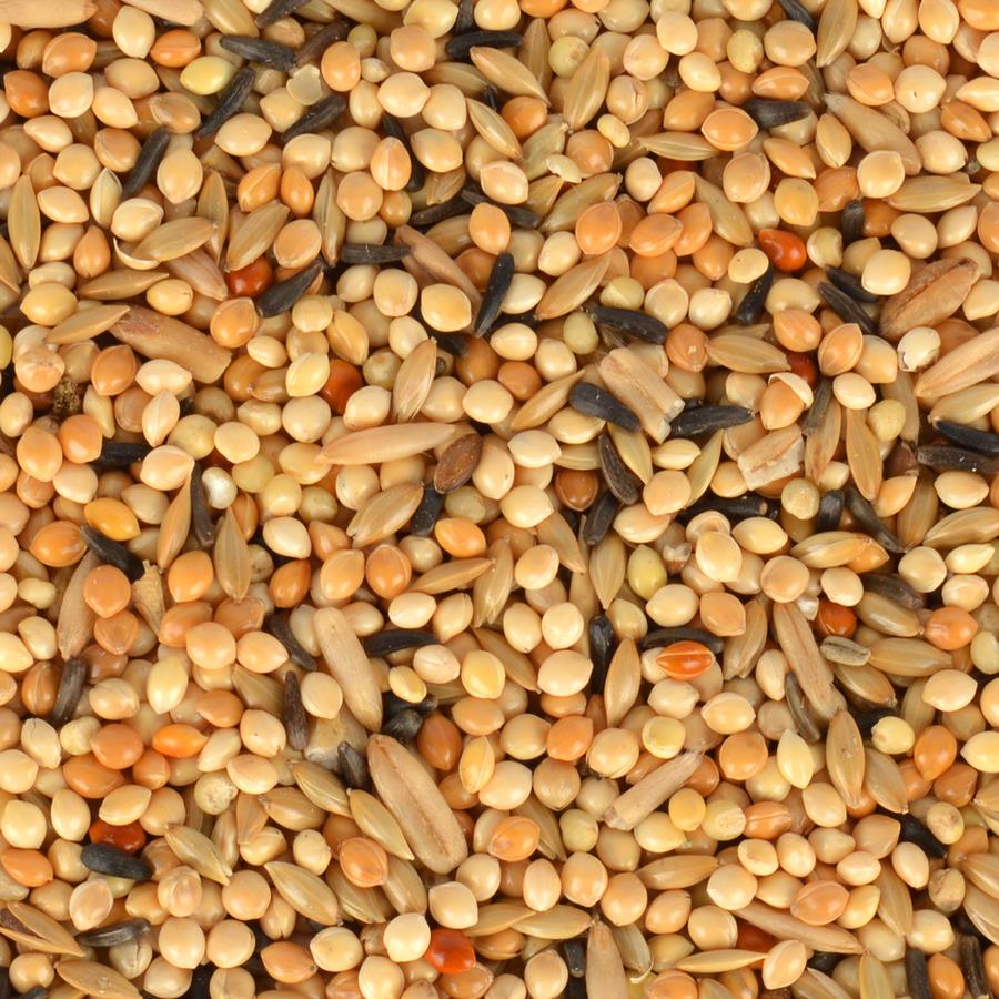 Quik Junior Yavru Muhabbet Kuşu Yemi 400 Gram Quik Junior Yavru Muhabbet Kuşu Yemi 400 Gram