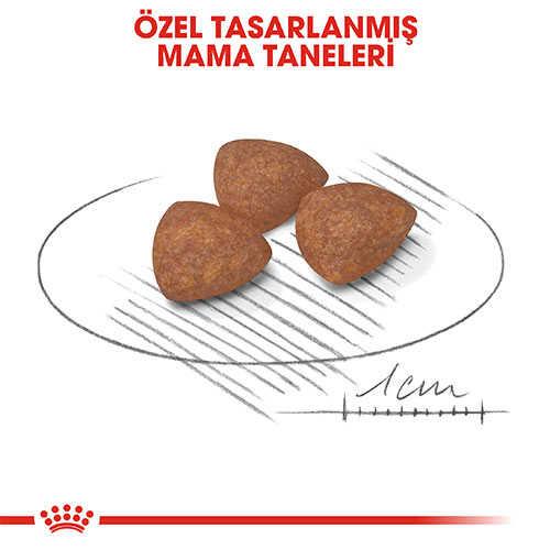 Royal Canin Mini Indoor Küçük Irk Puppy Yavru Köpek Maması 1,5 kg Royal Canin Mini Indoor Küçük Irk Puppy Yavru Köpek Maması 1,5 kg